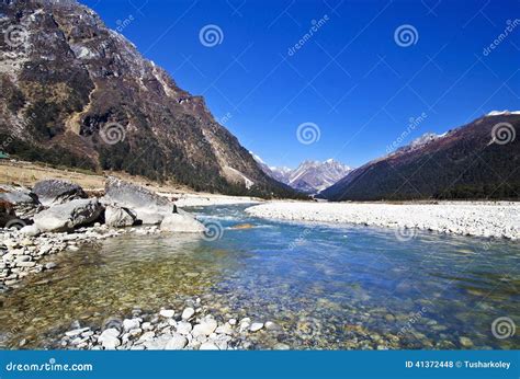 The River In The Yungtham Valley At North Sikkim Stock Photo Image Of