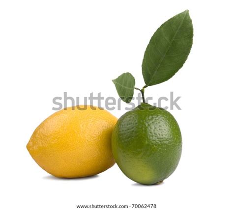 Image Fresh Lemon Lime Isolated On Stock Photo 70062478 Shutterstock