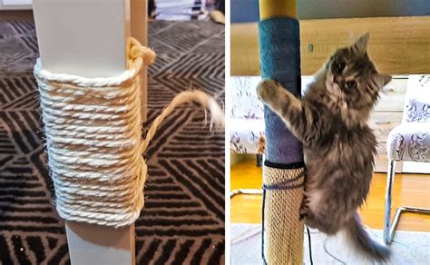 Awesome Life Hacks That Can Make Cat Owners Lives Easier Bright Side