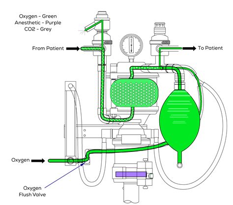 Anesthesia Theory of Operation
