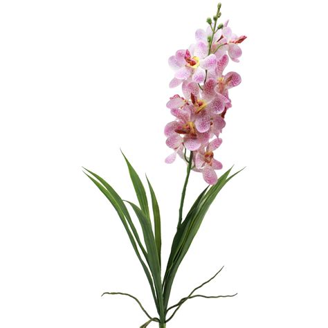 Floristik Pl Sztuczna Orchidea R Owa Bia A Sztuczna Orchidea