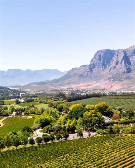 The Best Wine Farms In Stellenbosch You Can T Miss Charlies