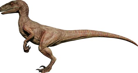 Velociraptor Jurassic Park 2