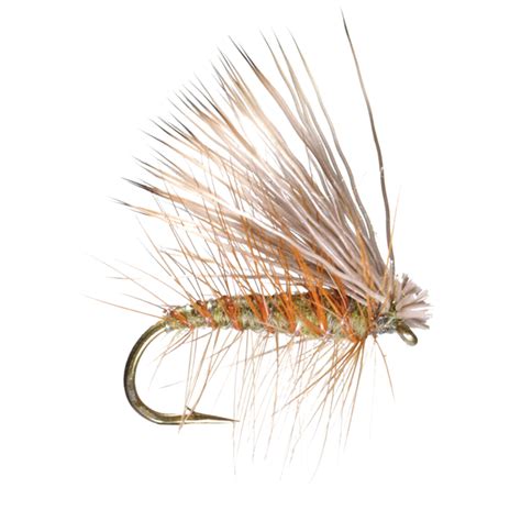 What Is A Dry Fly