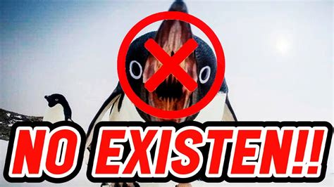 LOS PINGÜINOS NO EXISTEN Biología Desde Cero YouTube