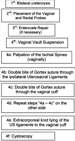 Laparoscopic Vaginal Vault Suspension Using Uterosacral Ligaments A