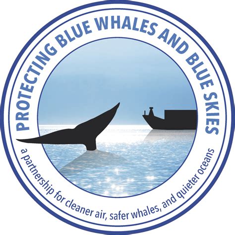 Protecting Blue Whales And Blue Skies BizSpotlight San Francisco