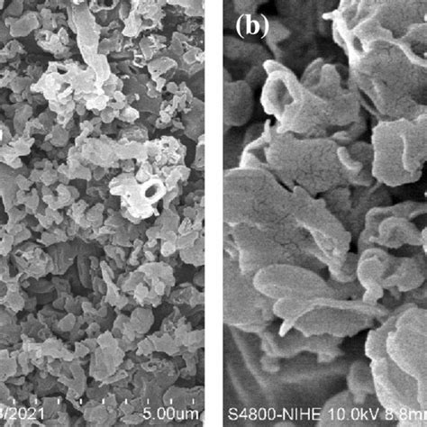 Sem Images Of Ab Unmodified Carbon Nitride Download Scientific Diagram