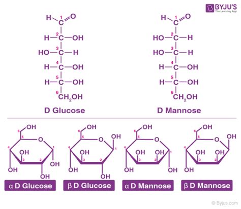 Classification of Carbohydrates - Carbohydrate Definition, Types of Carbohydrates, Structure ...