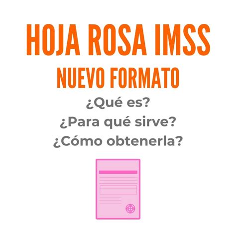 Hoja Rosa del IMSS Descubre su Nuevo Formato Guía 2025