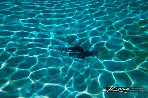Underwater Paradise Wallpapers 4k Hd Underwater Paradise Backgrounds