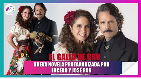 EL GALLO DE ORO NUEVA NOVELA PROTAGONIZADA POR LUCERO Y JOSE RON