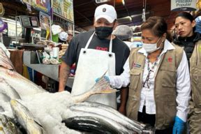 Arequipa Ministra Choquehuanca Supervisa Terminal Pesquero San Pedro