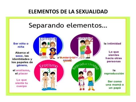 La Sexualidad Humana Fisiologia Y Conducta