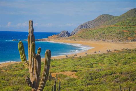 Cabo San Lucas Beach And Desert Atv Adventure With Pickup Getyourguide