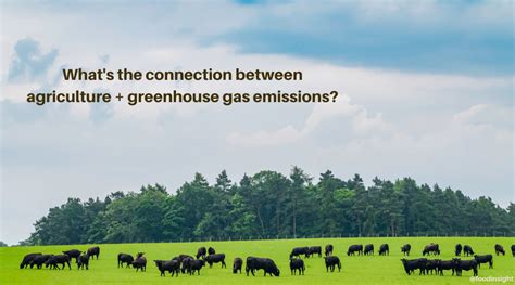 Agriculture And Greenhouse Gas Emissions Food Insight