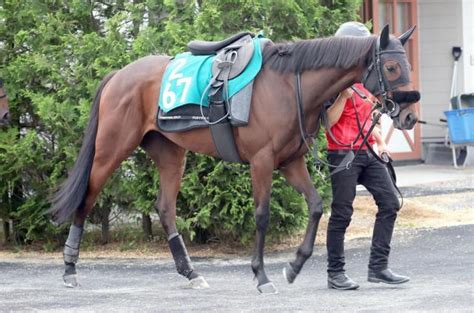 【pog】兄はg2勝ち馬 福永厩舎の良血馬ルージュレアリーズは28日新潟で「仕切り直し」の初陣 競馬ニュース Netkeiba