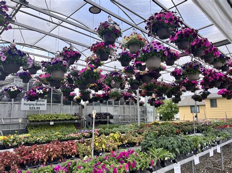 Best Garden Centers in Spokane Washington - Trending Northwest