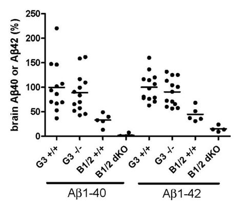 Effect Of Gpr Ko On Brain A Levels In Aged Mice A And A Were