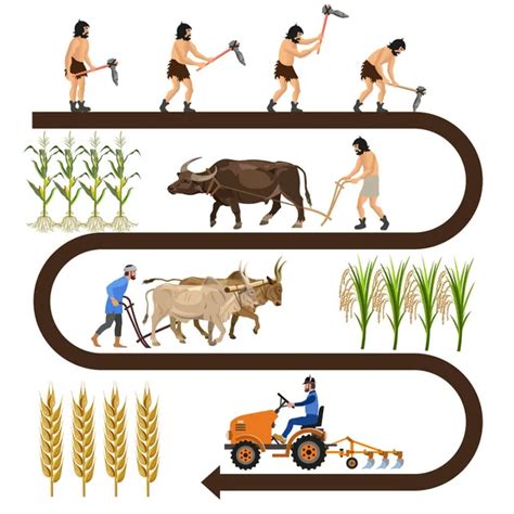 Historia De La Agricultura Vector Gráfico Vectorial © Newgena Imagen