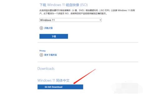 微软官网win11镜像下载 小白系统教程 多图 Win11 教程之家