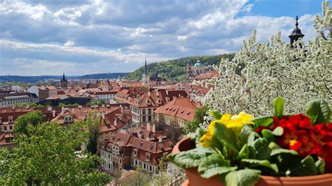 Prague Castle and Petřín Gardens | Prague City Adventures