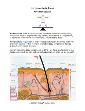 LIFE Sciences P1 MEMO GR11 NOV2023 English 231103 220526 NATIONAL