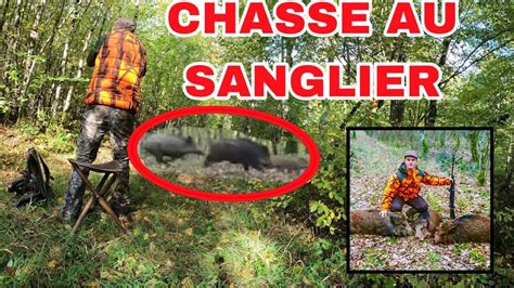 Chasse Aux Grands Gibiers Best Of Saison Youtube