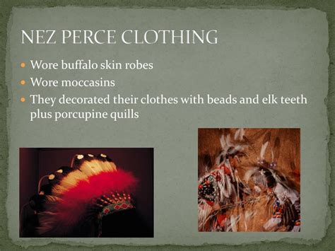 PPT - THE NEZ PERCE TRIBE PowerPoint Presentation, free download - ID ...