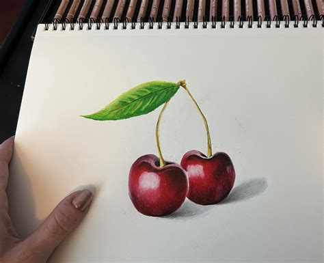 First Colored Pencil Drawing Lots Of Lessons Learned But Im Pretty Happy With My First Try