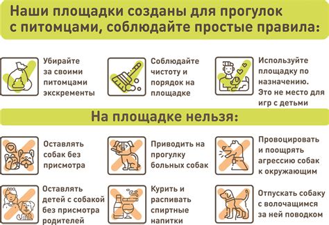 Удобные площадки для выгула собак