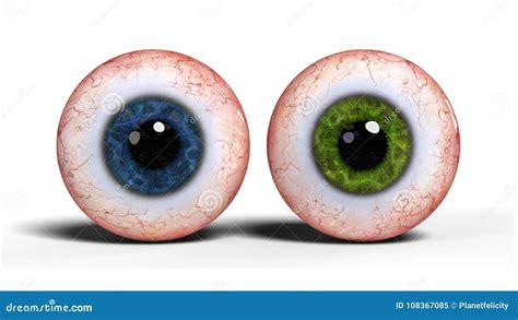 Two Realistic Human Eyeballs With Blue And Green Iris Isolated On White