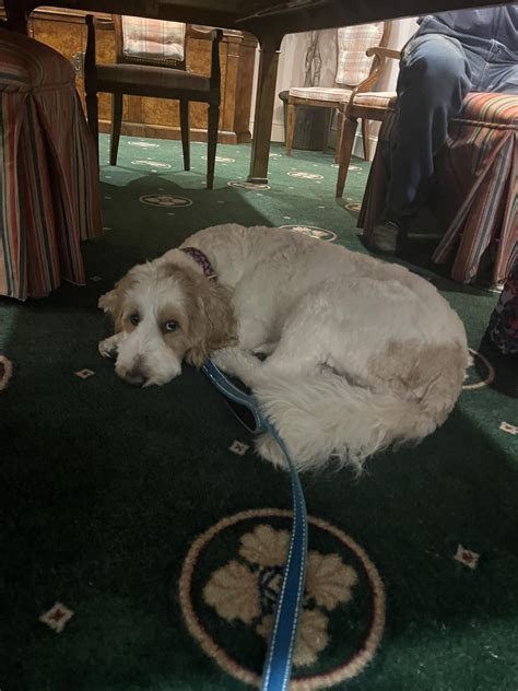 Akard Funeral Home | Bristol GA