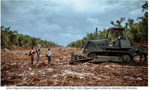 15 03 Internationales Tribunal für Rechte der Natur begutachtet