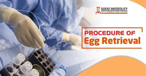 What The Patient Should Expect About The Egg Retrieval Procedure Dr