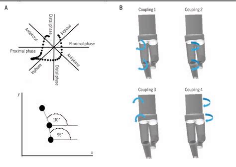 Figure From The Influence Of Hip Strength On Lower Limb Pelvis And