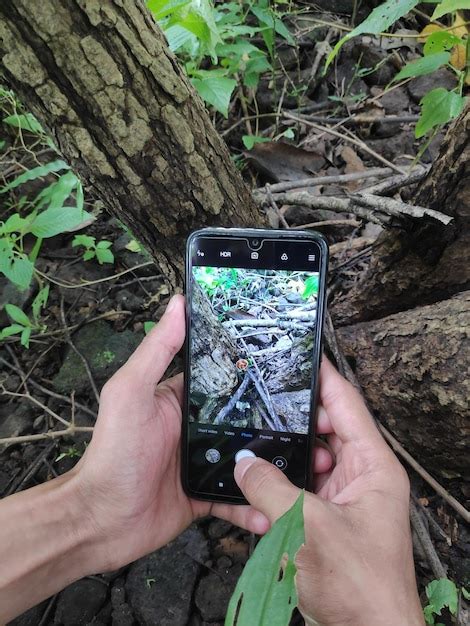 Premium Photo Cropped Hands Of Person Photographing Tree Trunk In Forest