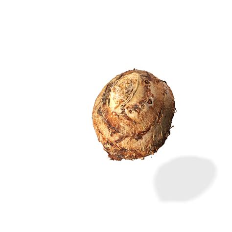 OBJ file OKUME VEGETABLE STACK Blackberry Tomato Potato Pepper Bread ...