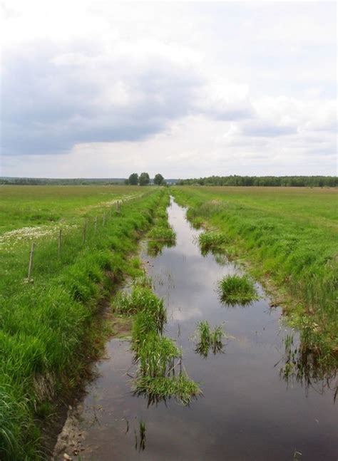 Free Images Landscape Water Nature Swamp Meadow Prairie River