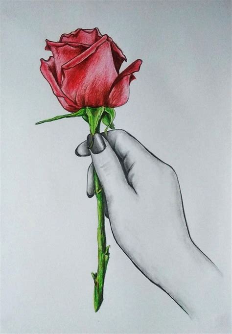 How to draw hand holding rose flower | rose pencil sketch | desenho de ...