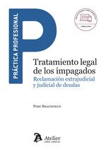 JUICIOS RÁPIDOS GUÍA PARA ABOGADOS EN EL TRIBUNAL 2ª ED PÉREZ DEL