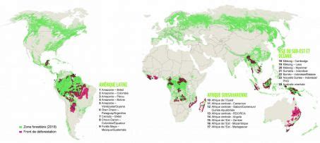 Des fronts de la déforestation identifiés par le WWF Sciences et Avenir