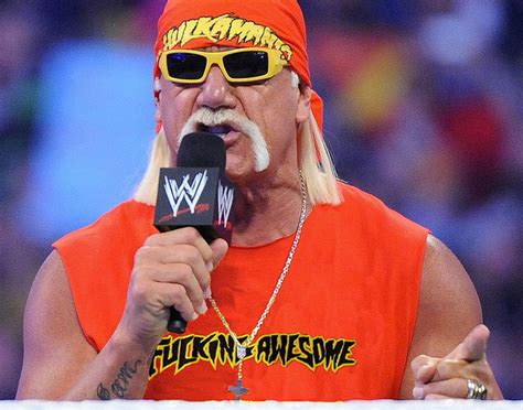 Million Verdict In Hulk Hogan Sex Tape Lawsuit Could Wipe Out