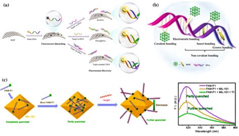 A Schematic Diagram Of The Viral Nucleic Acid Detection Mechanisms