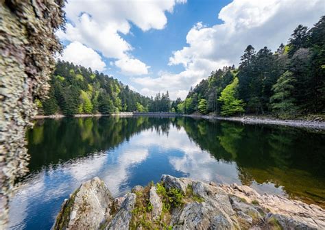 Lac De L Altenweiher Massif Des Vosges