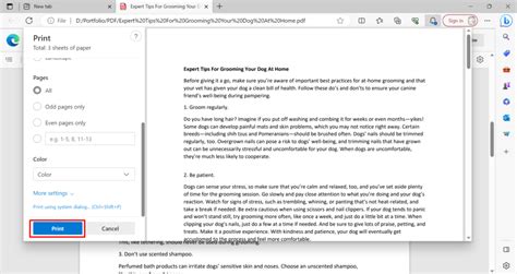 How To Make A Pdf Smaller On Windows Mac Android Ios