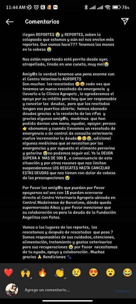 PerroUsuario Wof on Twitter La pequeña necesita AYUDAAAA URGENTE