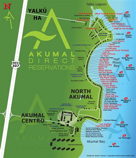 discover akumal akumal mexico area guide akumal direct akumal