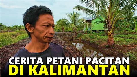 PETANI ASAL PACITAN SEMANGAT KELOLA LAHAN PERTANIAN DI PEMUKIMAN