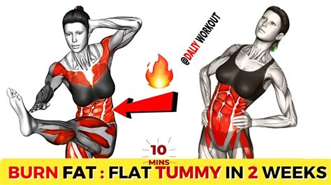 Best Abs Workout Lose Belly Fat 10 Min Standing Exercises Burn Fat